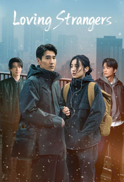 秋雪漫过的冬天 海报