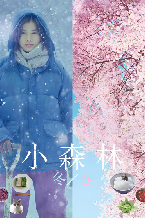 小森林：冬春篇 海报