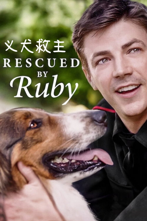义犬救主 海报